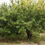 Вилла Free Bikes, Wifi, Ac, Garden, 2 Beds Duczki