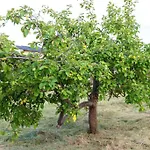 Вилла Free Bikes, Wifi, Ac, Garden, 2 Beds *