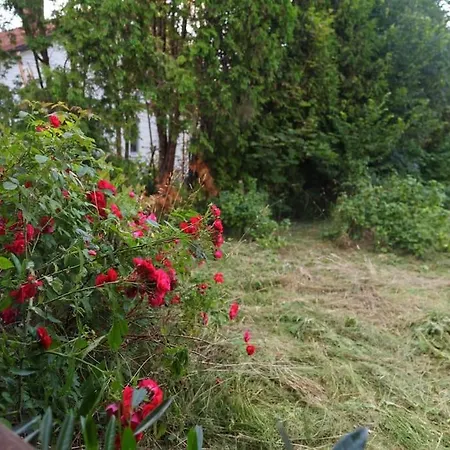 Villa Free Bikes, Wifi, Ac, Garden, 2 Beds